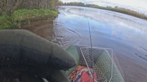 🔺️🎣ЕСТЬ🎣🔺️fishing#туризм#природа#ловля#рыбалка#щука#ловлящуки#ночевка#Чулым#река#спиннинг