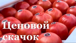 В ЛНР выросли цены на помидоры