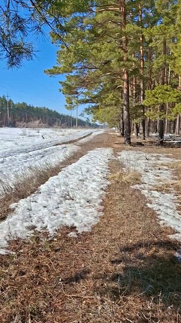 Можно уже открывать сезон копа 2026!
