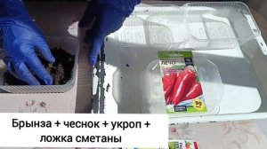 Весенний привет из Усадьбы Джеммы