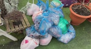 Огромная закупка лакомств для наших хвостатых.