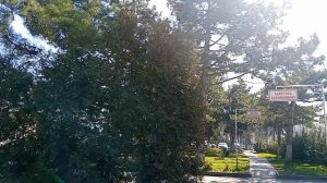 Обратно до дома через цветочный магазин.Останки БПЛА упали на дом на Пустошкина.