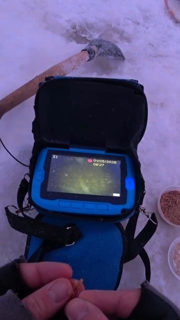 Увидел рыбу, поймал рыбу.