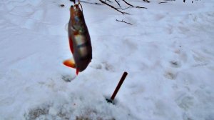 ВТОРАЯ ЗИМНЯЯ РЫБАЛКА