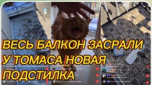 САМВЕЛ АДАМЯН, ВЕСЬ БАЛКОН ЗАСРАЛИ, У ТОМАСА НОВАЯ ПОДСТИЛКА..