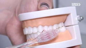 Здоровая улыбка России. Помогут ли сахарозаменители сохранить зубы и почему пахнет изо рта?