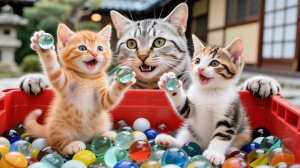 Стеклянный шарик в подарок от папы-кота 🎁