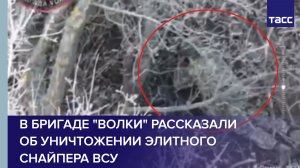 В бригаде "Волки" рассказали об уничтожении элитного снайпера ВСУ