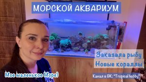 Морской аквариум: что нового? Купила рыбу, новые кораллы. Есть потери в моем море(😢