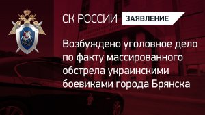 Возбуждено уголовное дело по факту массированного обстрела украинскими боевиками города  Брянска