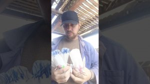 Бакинские голуби , двойка ушла с игрой