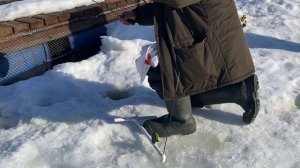 На подсекайку