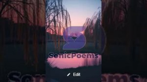 Сергей Есенин — Закружилась листва золотая (вар1)