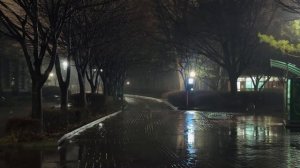 ASMR ДОЖДЬ для спокойного сна 🌧️ белый шум ливня