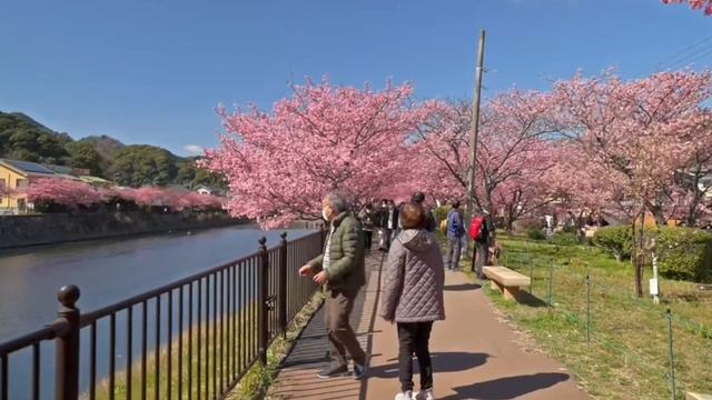 Stray Kids "Lose My Breath" 🌸🌸🌸