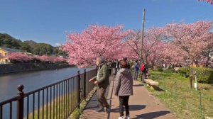 Stray Kids "Lose My Breath" 🌸🌸🌸