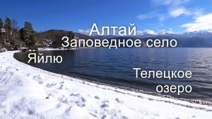 Путешествия по горному Алтаю. Поездка на заповедный берег Телецкого озера.