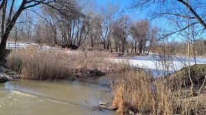 Вышла на прогулку, а тут такое..... 11.03.26.