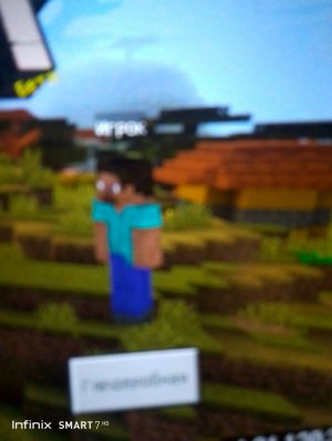 играю в майнкрафт.