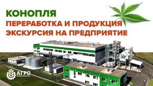 Конопля в сельском хозяйстве. Как перерабатывают и что производят. Экскурсия на предприятие.