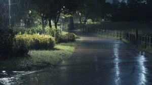 Звуки дождя чтоб быстро заснуть 🌧️ Белый шум ливня