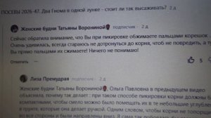ПОСЕВЫ 2026-57.  Рассада томатов прижилась после пикировки и образовала новые корни.