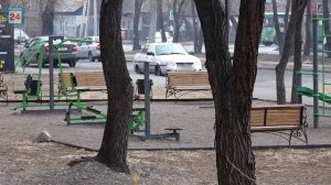 Парковка прямо на газоне: абаканцев-правонарушителей фиксируют активные горожане