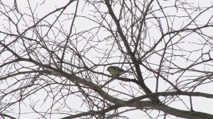 ПОГОДНОЕ НЕПОСТОЯНСТВО