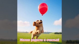 MOV_20260227_114907_199.mp4