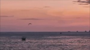 Бывает всё,- на то она и жизнь... А.Тюрин О.Ахметова