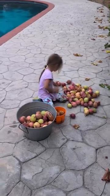 Для устойчивого производства чего-либо требуется огромное упорство, тяжелый труд и терпение.