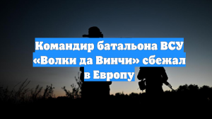 Командир батальона ВСУ «Волки да Винчи» сбежал в Европу