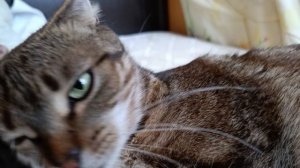 Тосенька моя