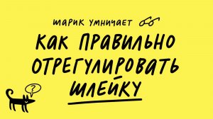 Как правильно отрегулировать шлейку