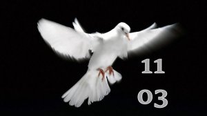 11.03.2026 - Прямая трансляция ст.Елизаветинская