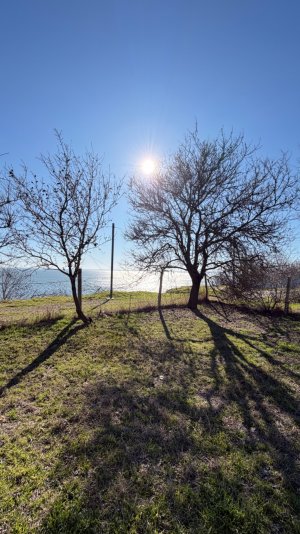 copy_577F7C6F-22C9-48FA-9FF7-BB27126C11EA