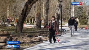 В этом году в Симферополе благоустроят 10 дворовых и одну общественную территорию