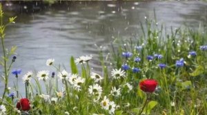 Пусть распускаются цветы