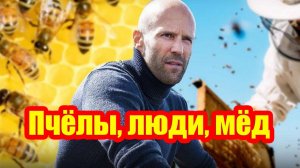 Пчёлы, люди, мёд...