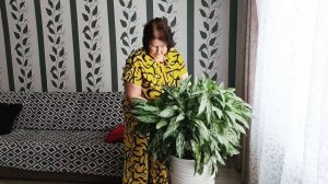 "Во круг реки,резкое потепление может быть опасным для нас.) Новые подставки для цветов.)"