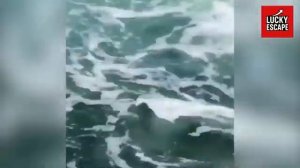 ТОП неудач на рыбалке