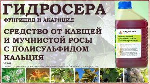 ГидроСера - средство от клещей и мучнистой росы с полисульфидом кальция. Обзор фунгицида и акарицида