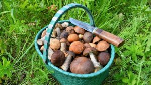 Превью канала