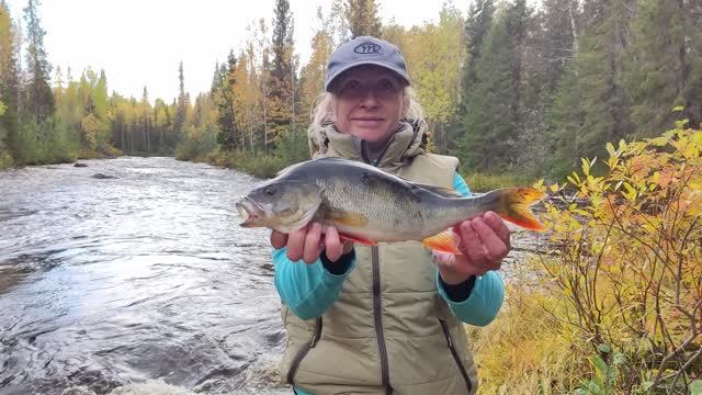 Сплав по реке Кутсайоки и Тумча на пакрафте Иволга XL. 1 часть, Рыбалка Сбор Брусники
