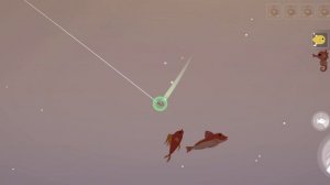 играю в рыбалку🎣  и поймал несколько хороших рыб!