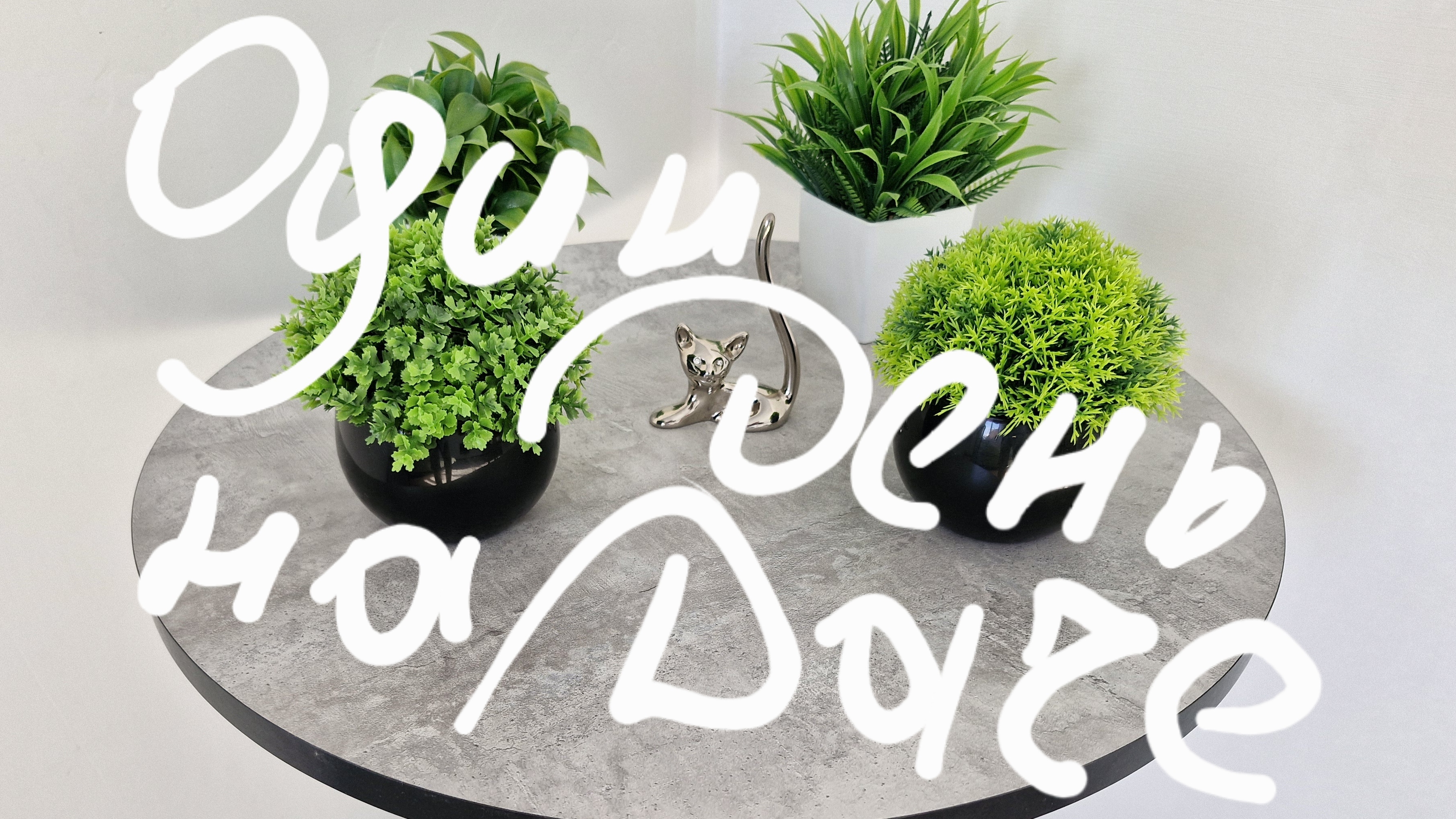 Один день на даче