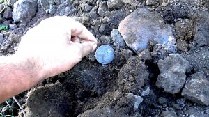 ЗАВАЛИЛО РАРИТЕТАМИ !