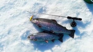 Запуск от 11.03.26