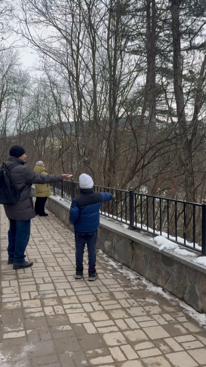 Милые моменты Кисловодского парка - кормление синичек с рук
