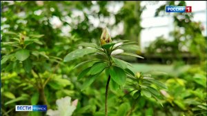 Вести-Томск, выпуск от 11.03.2026 11:30